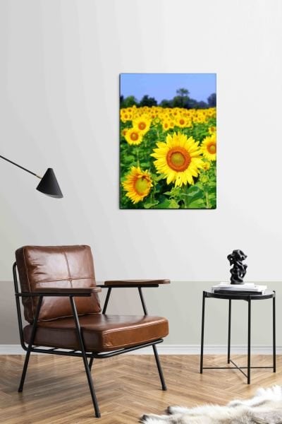 Ayçiçeği Tarlası Canvas Tablo