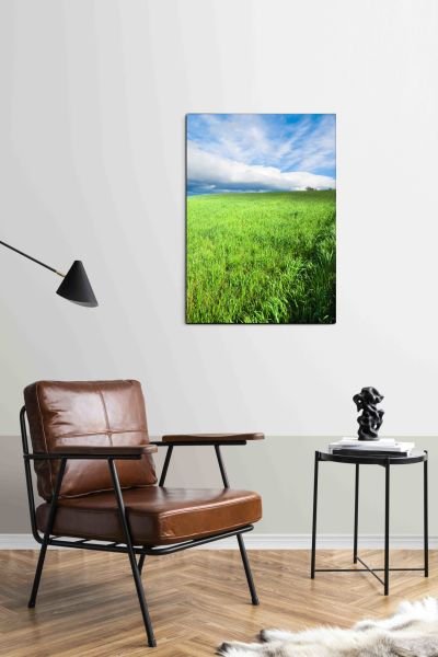 Doğal Yeşil Çayır Manzaralı Canvas Tablo