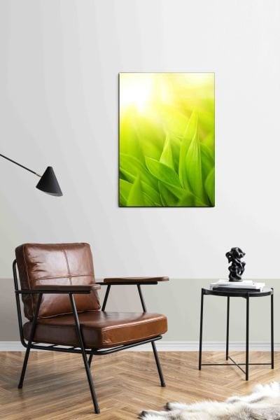 Güneş Işığında Yeşil Yapraklar Canvas Tablo