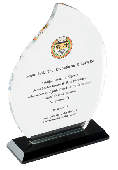 Akademik Katkı Onur Ödülü