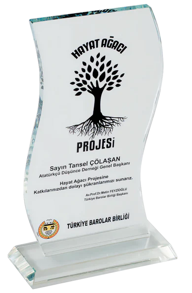 Toplumsal Katkı Teşekkür Plaketi